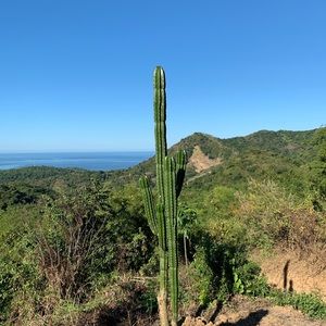 Meet your Posher, Tommy